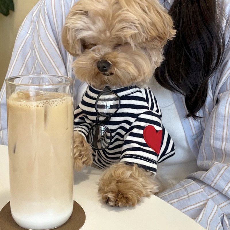 Dog Vest for Small Dogs Pet Do - Sleeveless Undershirt 리뷰 및 가격